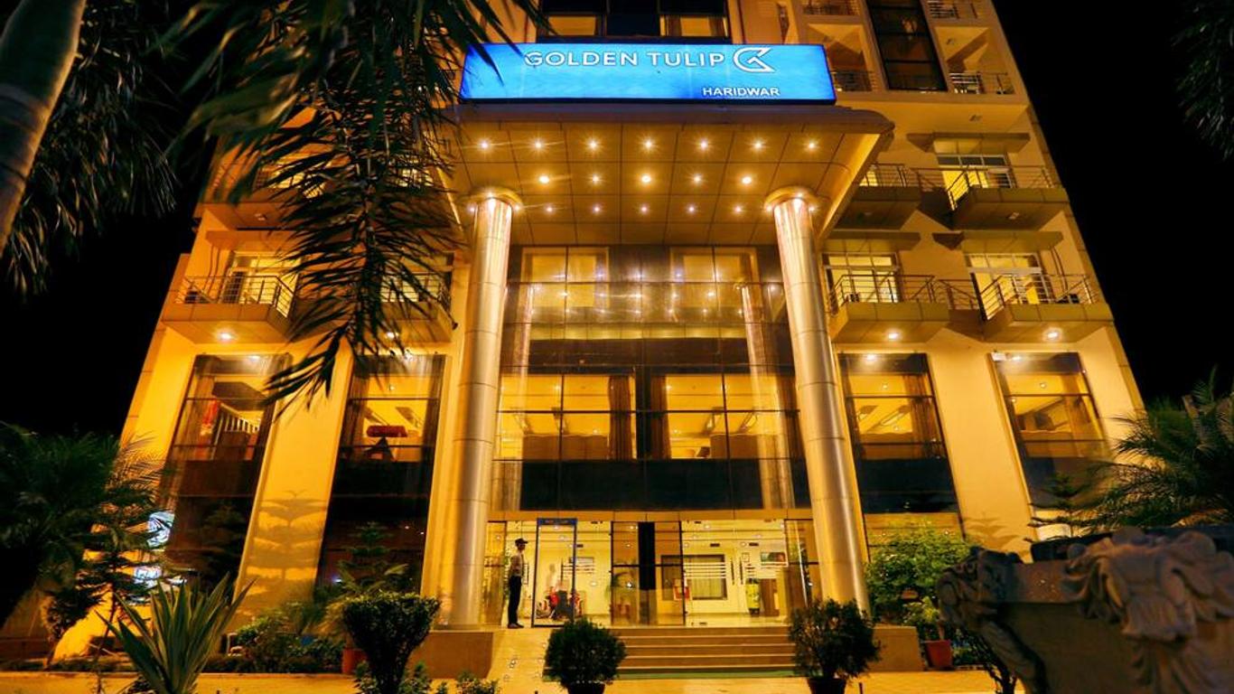 Golden Tulip
